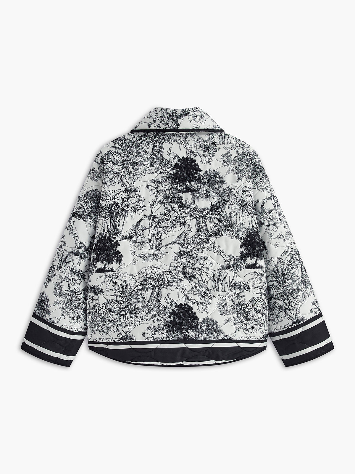 THE SKY COAT